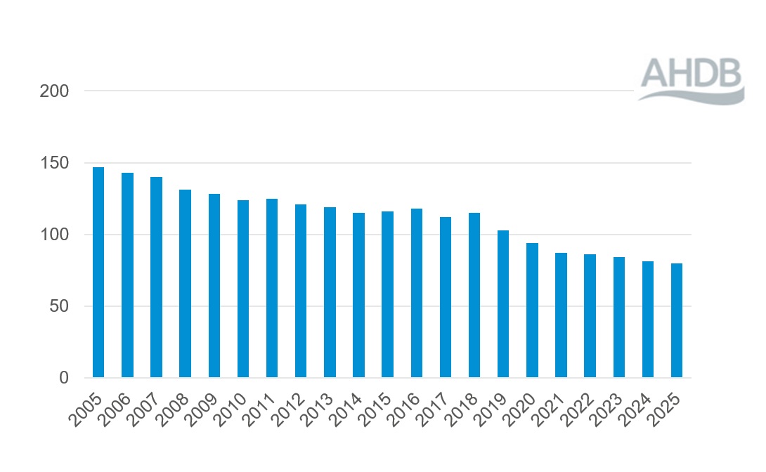 Bar chart showing the number of England pig abattoirs 2005 to 2025.